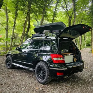 GL 350